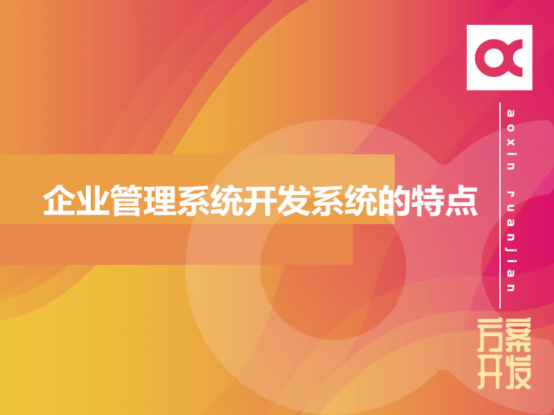 企業管理系統開發系統