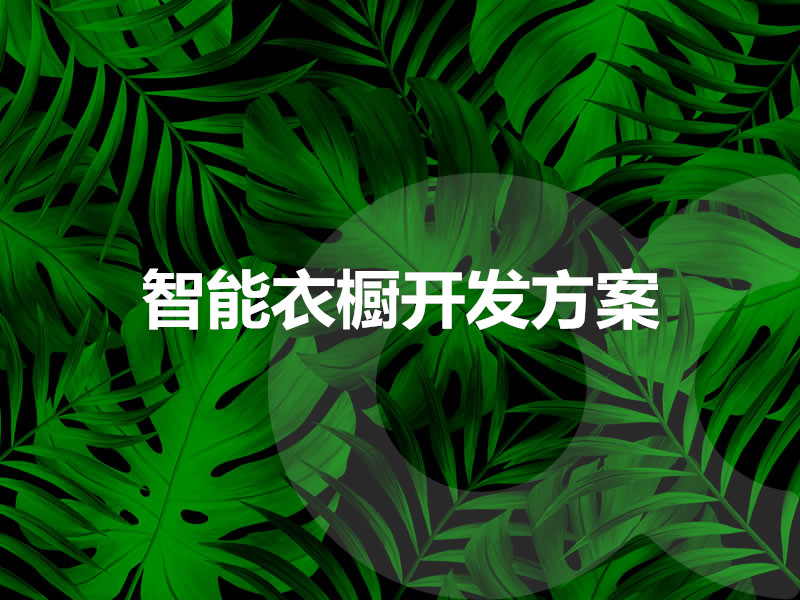 智能衣櫥開發方案