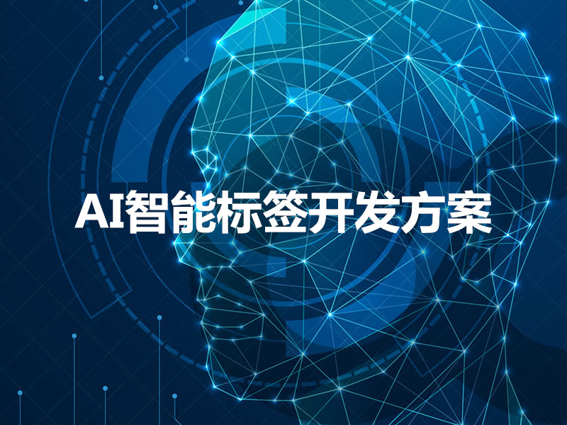 AI智能標簽開發方案