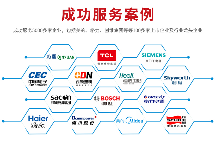 公司的成功服務案例