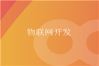 軟件開發應該以技術為本，服務取勝