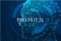 企業軟件定制開發有哪些優勢